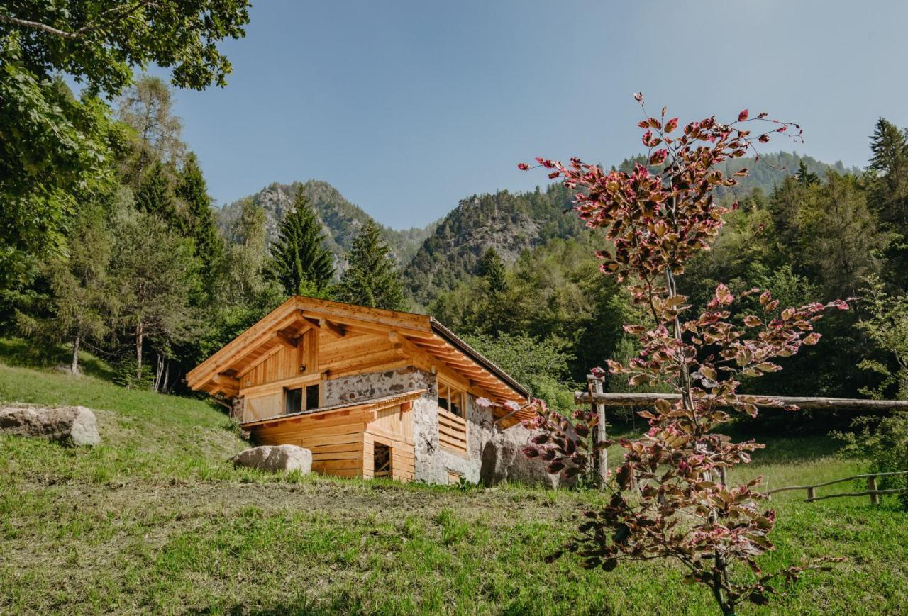 Odomi Maso Nel Bosco Villa Sant'Orsola Dış mekan fotoğraf