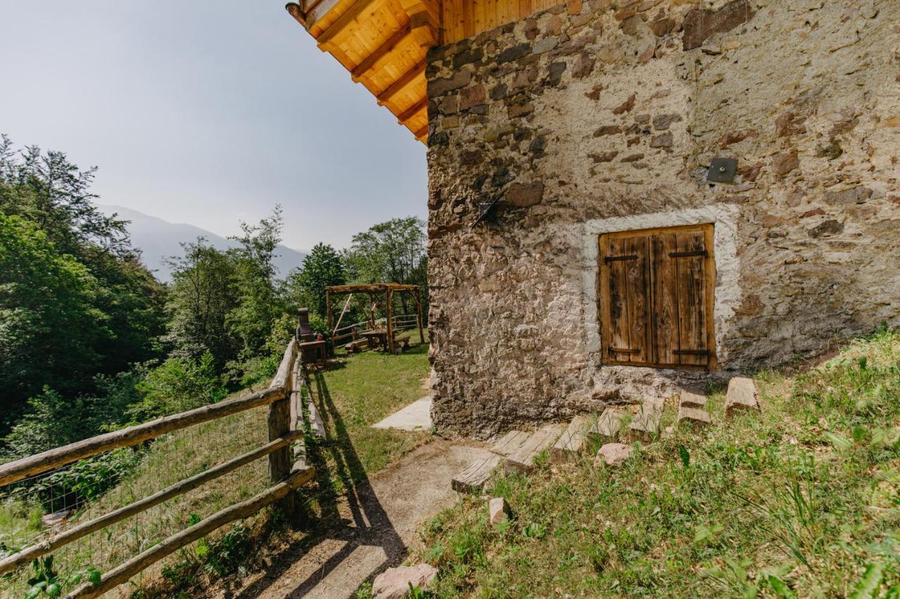 Odomi Maso Nel Bosco Villa Sant'Orsola Dış mekan fotoğraf